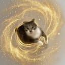 WALLCAT