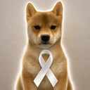 RIBBON