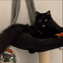 LUTHIEN