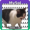 MYSOL