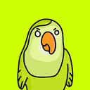 PIROKI