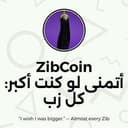 ZIB