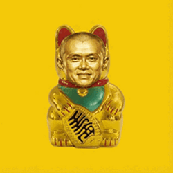赵财猫