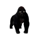 apecat