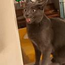 HYPER