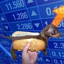 holdog