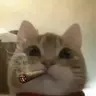 Jeff
