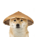 oDOG