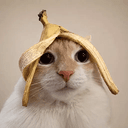bcat