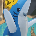 Sharkify