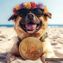 BITDOG