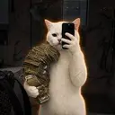 CASHCAT