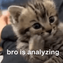 HmmCat