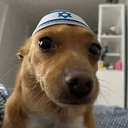 tri