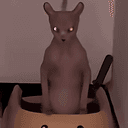 Beerus