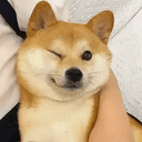 KENJI
