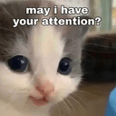 ACAT