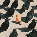 STANDOUT