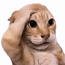 pawpalm