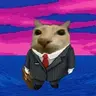 bizcat