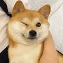 KENJI