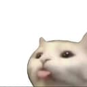 :p