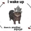 PCAT