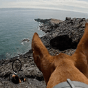 POV