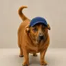 fatdog