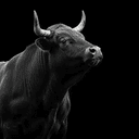 Bull