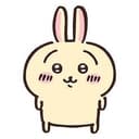 Usagi
