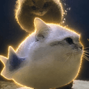 divecar