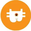 Analcoin