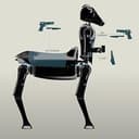 Satyress