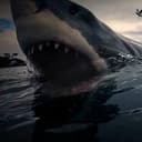 SHARKZILLA