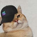 SOLCAT