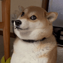 Yuki