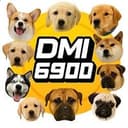 DMI6900