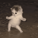 RABREA