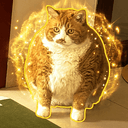 CHONK