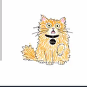 BILLI