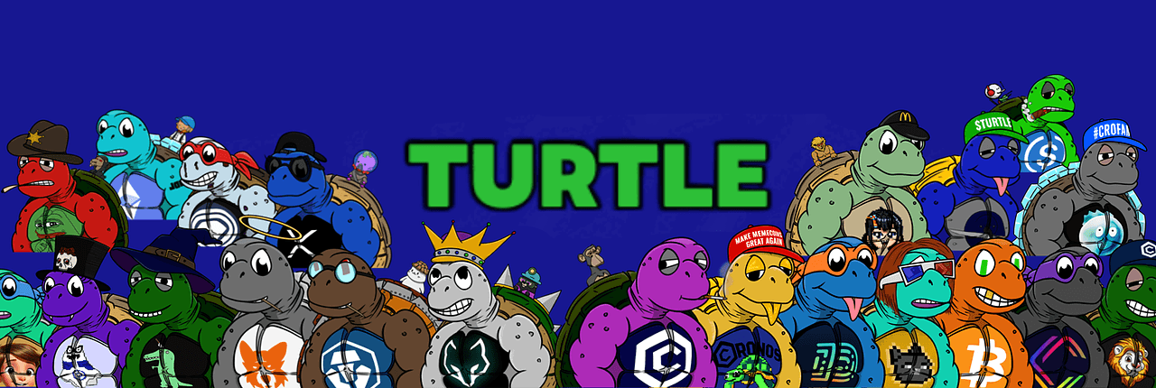 Turtle Banner