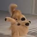 yuzu