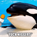 Orca