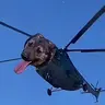 helidog