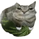 MELON