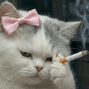 STRESS