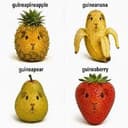 guinea