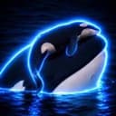 Orca