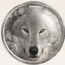 wolf75